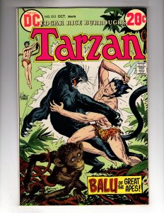 Edgar Rice Burroughs' Tarzan #213 (1972)    / EBI#2