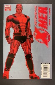 Astonishing X-Men #23 Variant Edition - Cover B (2008)