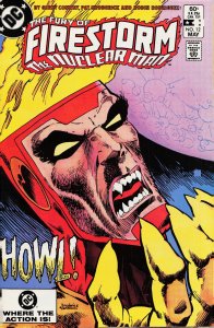 The Fury of Firestorm #12 (1983) Firestorm