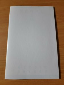 Peal #1 Blank Cover Variant ~ NEAR MINT NM ~ 2018 Jinxworld Comics