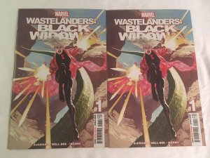 WASTELANDERS: BLACK WIDOW #1 Two Copies, VFNM Condition