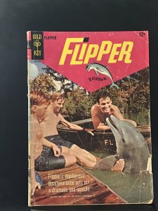 Flipper #2
