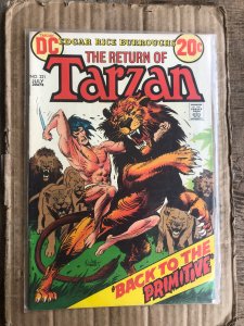 Edgar Rice Burroughs' Tarzan #221 (1973)