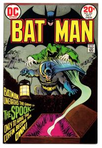 Batman #252 (Oct 1973, DC) - Very Fine-