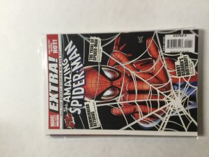 The Amazing Spider-Man:  EXTRA! #1 (2008)