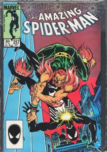 The Amazing Spider-Man #257 (1984) Spider-Man [Key Issue]