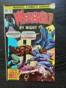 Werewolf by Night #29 (1975) Werewolf by Night