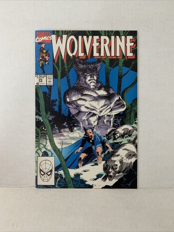 Wolverine #25 