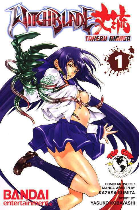 Witchblade: Manga TPB #1 FN; Image | save on shipping - details inside