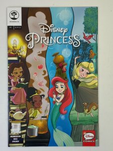 Disney Princess #1 Comic Book (2016 Joe Books) Great Condition Quality Seller