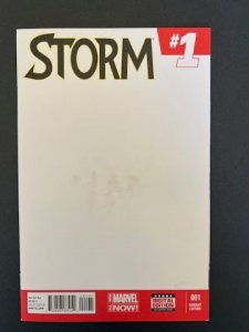 Storm #1 Blank Cover (2014) - Variant