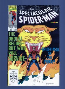 Spectacular Spider-Man #171 - Sal Buscema Cover. Gerry Conway Story. (9.2) 1990