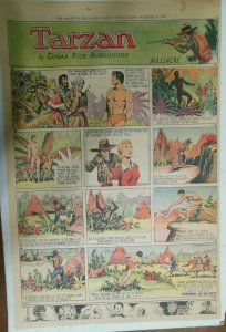 Tarzan Sunday Page #458 Burne Hogarth from 12/17/1939 Very Rare Full Page Size