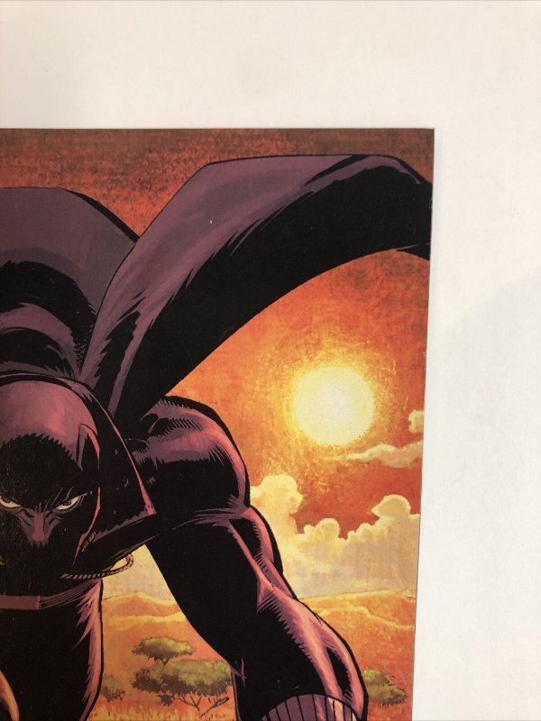 Black Panther (2005) # 1 (NM) Rare Newsstand Edition