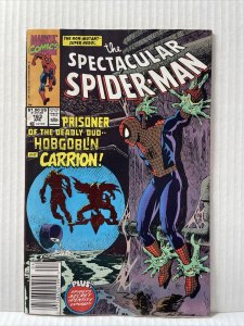 The Spectacular Spiderman #163 