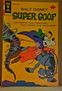 Super Goof #37 (1976)