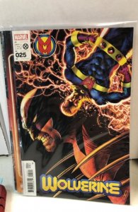 Wolverine #25 Cassaday Cover (2022)