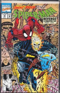 Spider-Man #18 (1992) Spider-Man