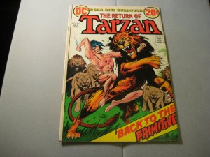 Tarzan #221 (1973, DC comics) 