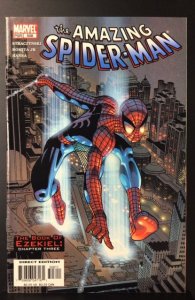 The Amazing Spider-Man #508 (2004)