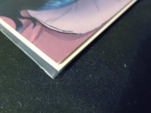 Vampire Girls : Erotique #1 Nude Cover Edition