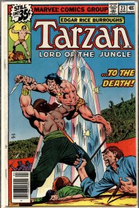 Tarzan #23 (1979) Tarzan