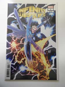 Infinity Wars: Infinity Warps #1 Adam Kubert Connecting Variant (2019)