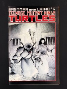 Teenage Mutant Ninja Turtles #17 (1988)