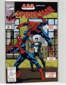 Spider-Man #33 (1993) Spider-Man