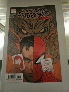 Amazing Spider-Man: Torn #2 (NM)