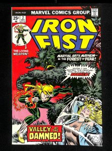 Iron Fist #2 FN+ 6.5