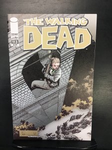 The Walking Dead #113 (2013) nm