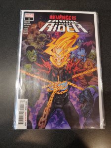 Revenge of the Cosmic Ghost Rider #1