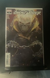 Ghost Rider #12 (2023)
