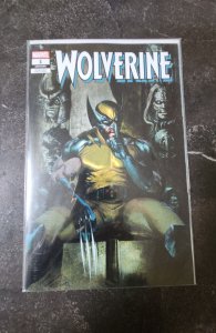 WOLVERINE #1_NEAR MINT_UNKNOWN COMICS GABRIELE DELL'OTTO TRADE DRESS VAR...