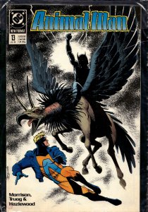Animal Man #13 (1989) Animal Man
