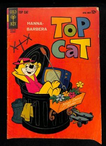 Top Cat #12