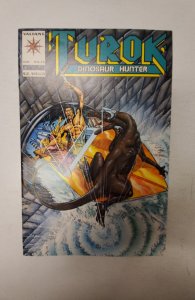 Turok, Dinosaur Hunter #12 (1994) NM Valiant Comic Book J694