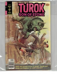 Turok, Son of Stone #117 (1978)
