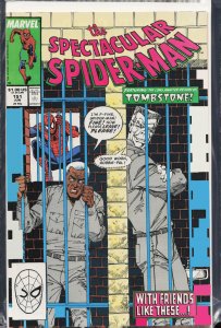 The Spectacular Spider-Man #151 (1989) Spider-Man