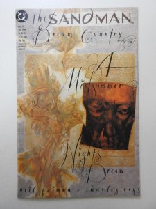 The Sandman #19 (1990) Great Neil Gaiman Series! Beautiful VF+ Condition!