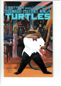 Teenage Mutant Ninja Turtles #23 (1989) FN-