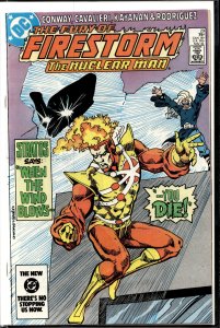 The Fury of Firestorm #29 (1984) Firestorm