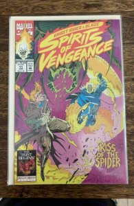 Ghost Rider/Blaze: Spirits of Vengeance #11 Direct Edition (1993)