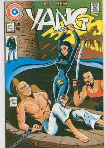 All New Yang #2 Charlton Comics 1974 VF-