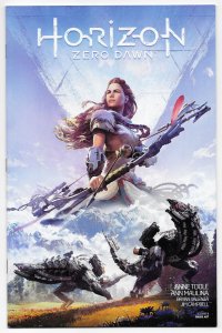 Horizon Zero Down #8 Cover B | Game Art Variant ITC309