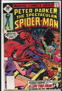 The Spectacular Spider-Man #11 (1977) Spider-Man