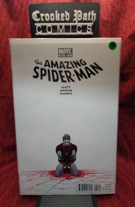 Amazing Spider-Man: Matters of Life and Death (2011)