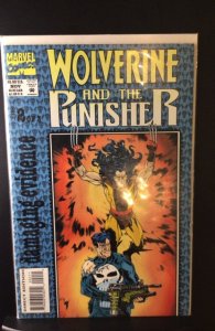 Wolverine and the Punisher: Damaging Evidence #2 (1993)
