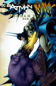 Batman/The Maxx: Arkham Dreams #5A VF ; IDW | Sam Kieth